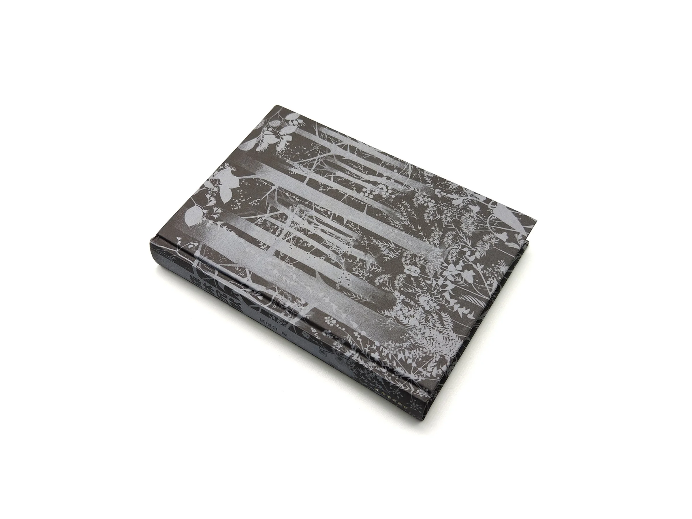 WindyZhu_Silent Forestillustration_05.jpg