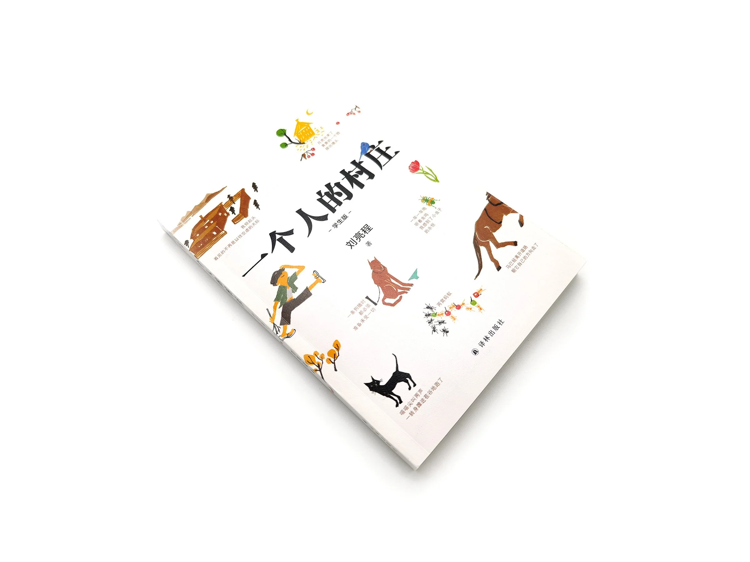 WindyZhu_A Village of One illustration_02.jpg