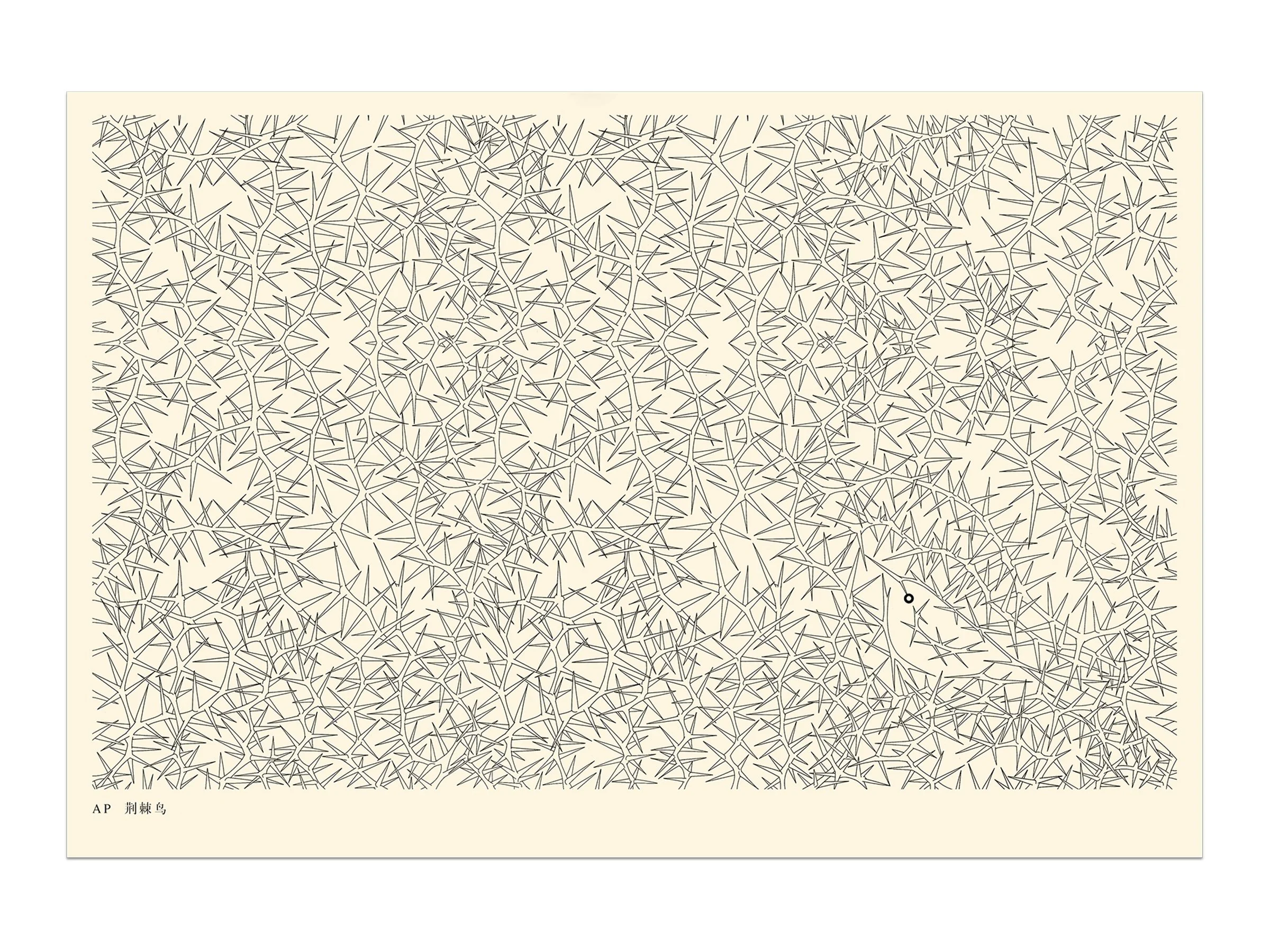 WindyZhu_The Thorn Birds illustration_01.jpg