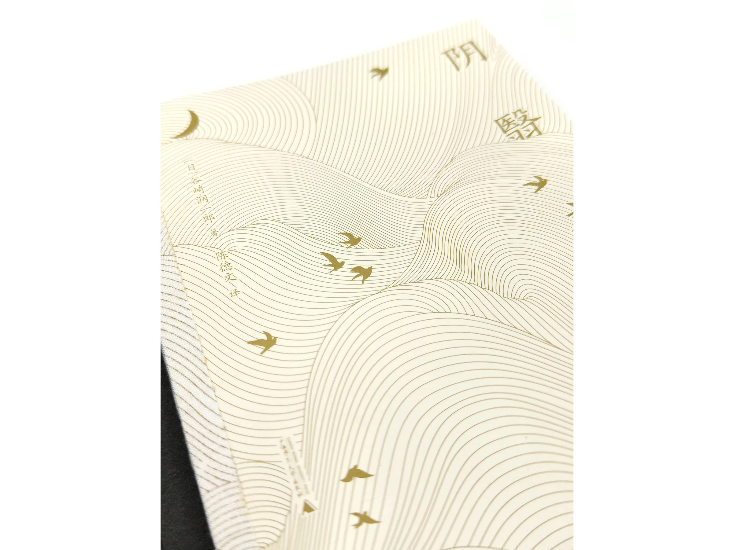 WindyZhu_yylz illustration_06.jpg