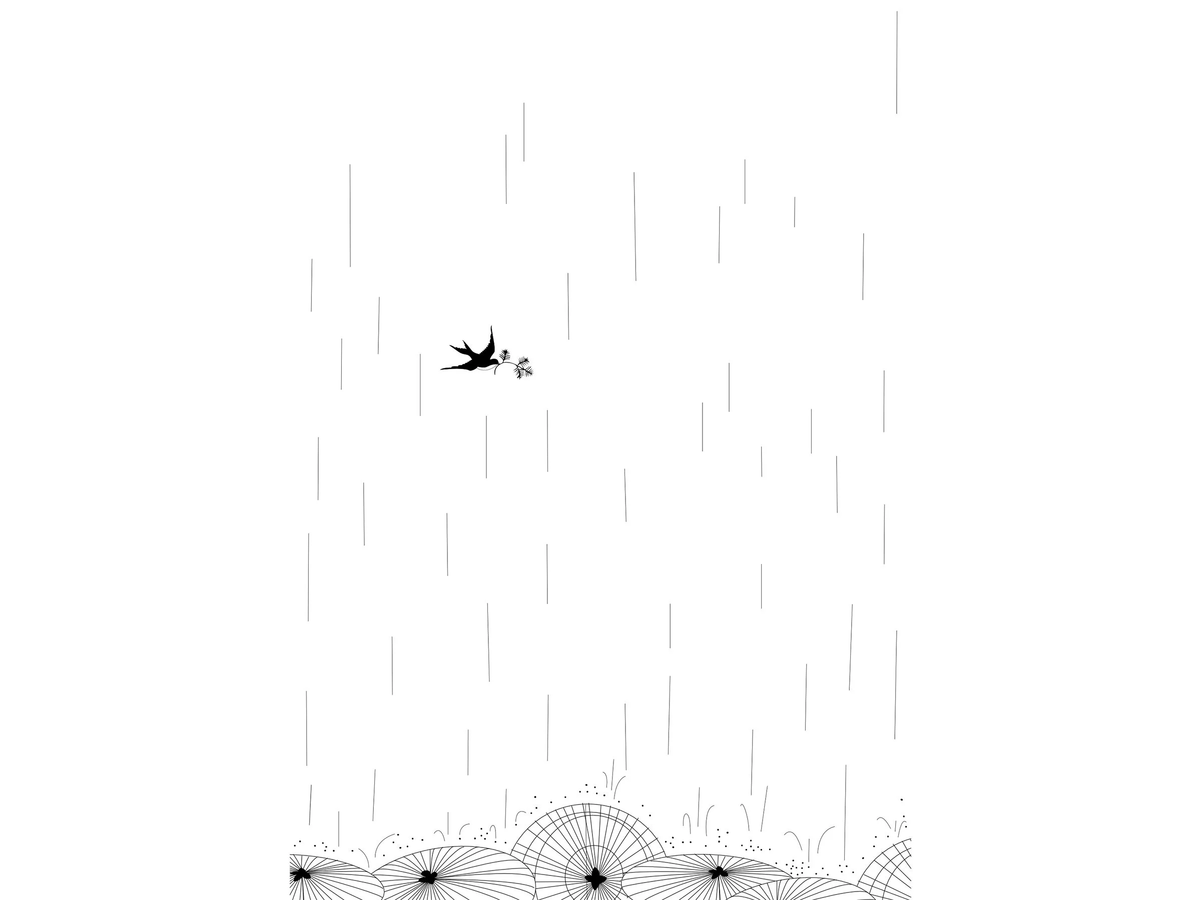 WindyZhu_zcz illustration_02.jpg