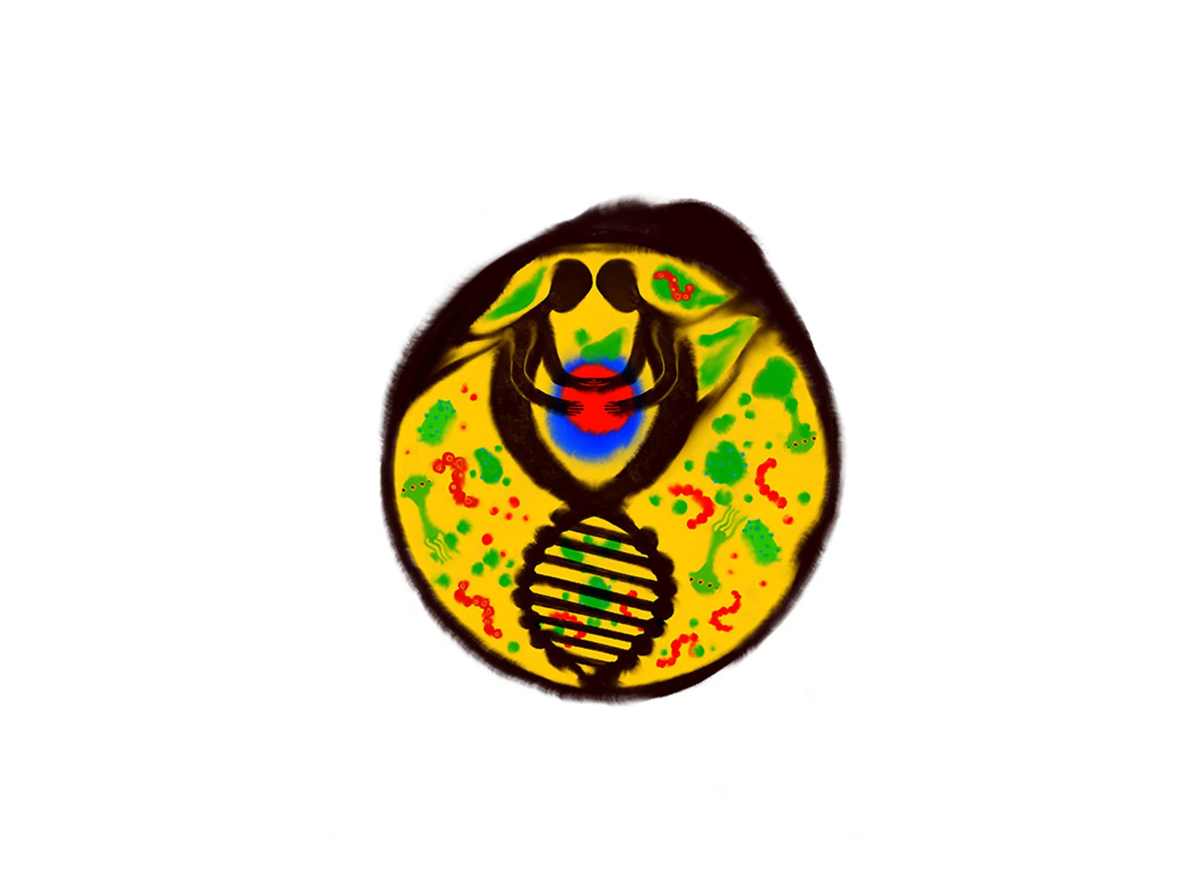 WindyZhu_wxzd illustration_06.jpg