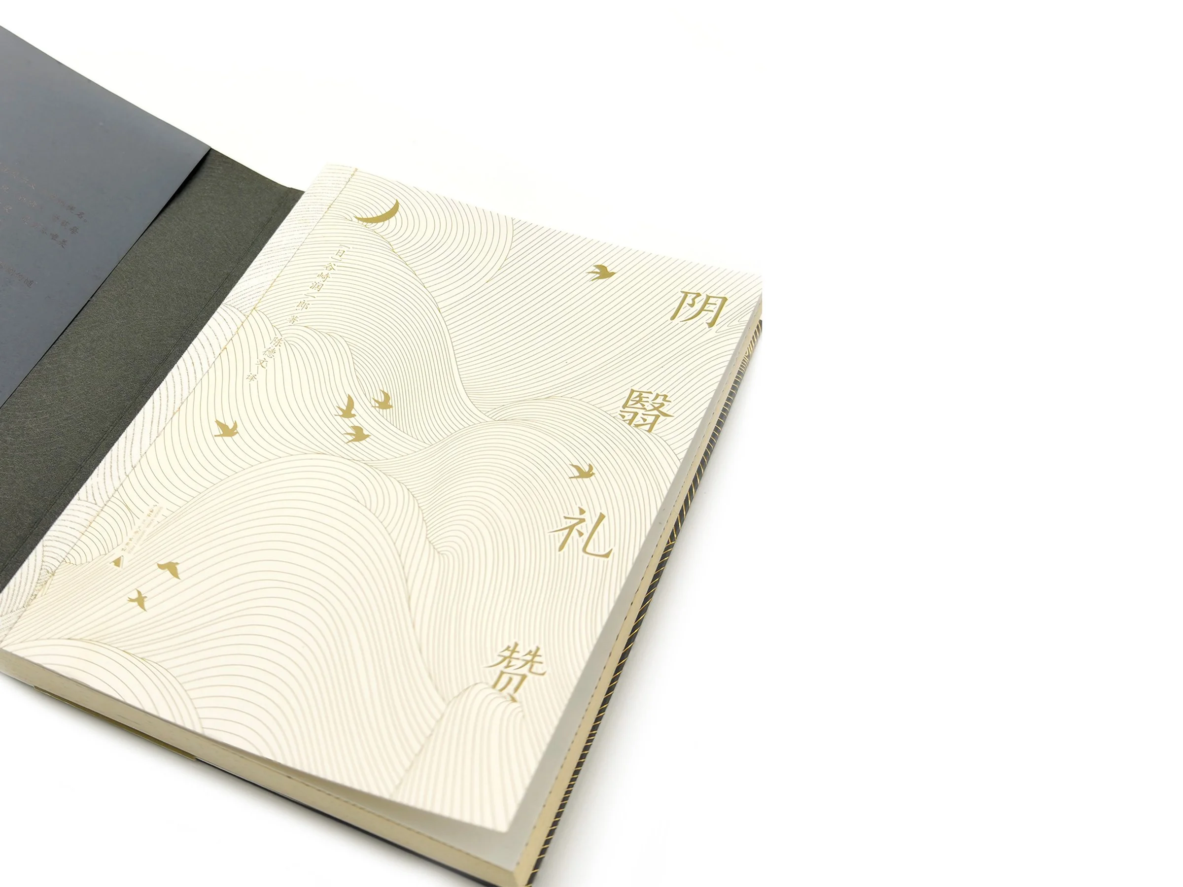 WindyZhu_yylz illustration_05.jpg