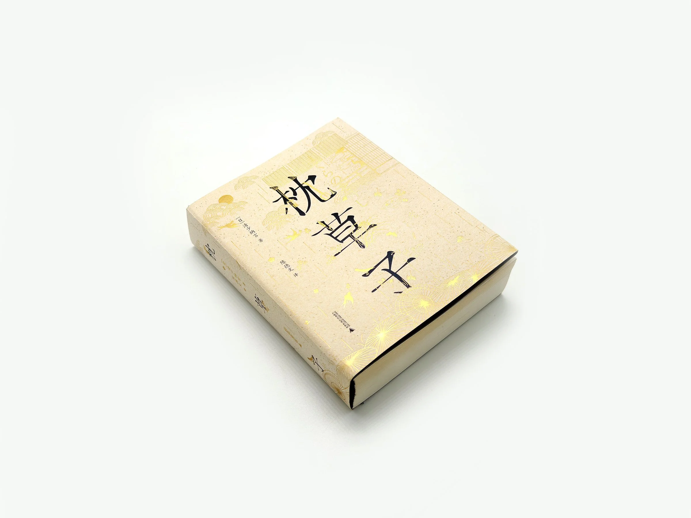 WindyZhu_zcz illustration_06.jpg