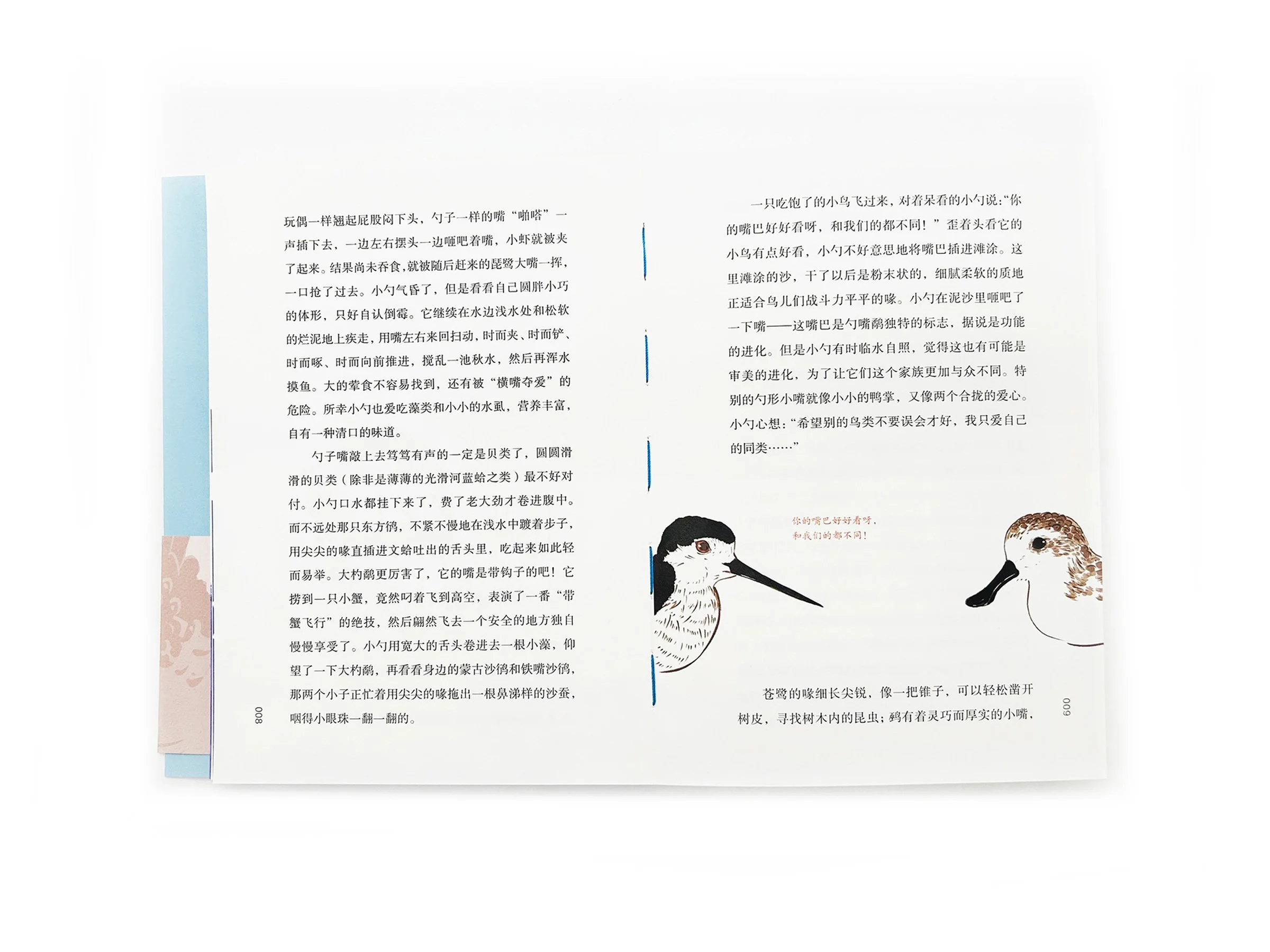 WindyZhu_SPOON IN THE SKYillustration_06.jpg