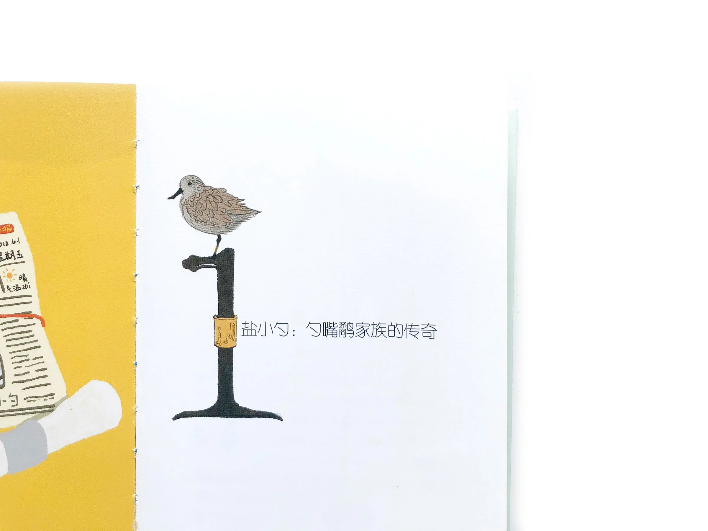 WindyZhu_SPOON IN THE SKYillustration_03.jpg