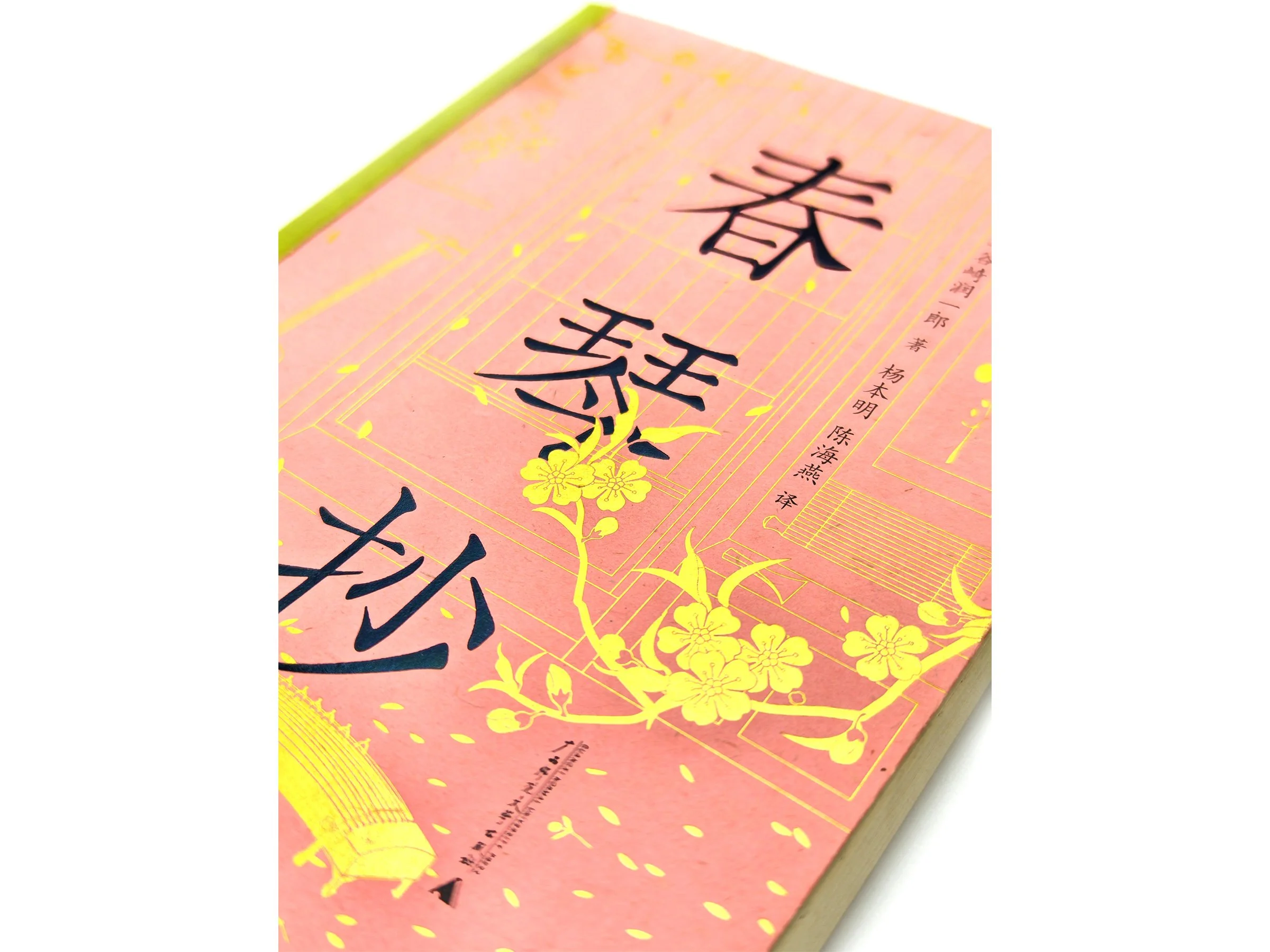 WindyZhu_cqc illustration_05.jpg