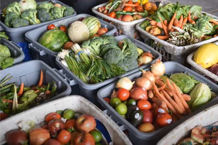 Multiple bins filled with fresh vegetables including tomatoes, carrots, broccoli, cucumbers, and lettuce representing the types of food rescued during Vault89's More Than Food Project.