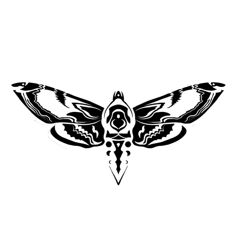 Logo of a blackburn sphinx moth with a crescent moon