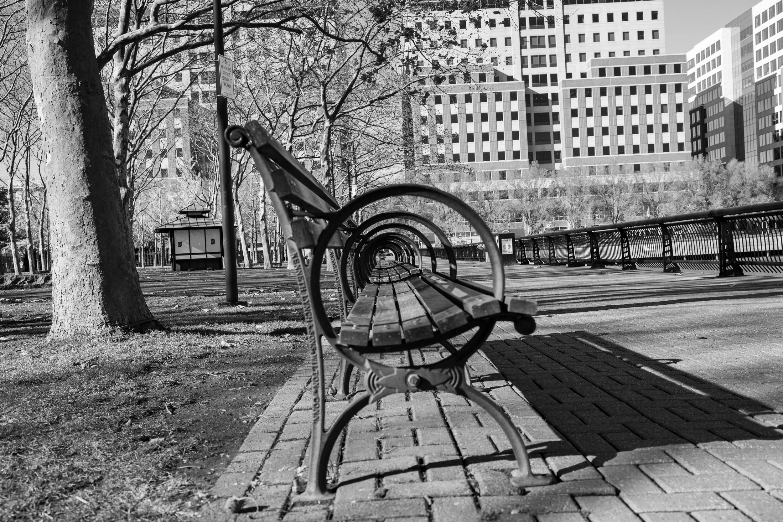 Empty park bench with rain guards on a sidewalk, a large tree with textured bark, tall modern office buildings in the background, and a lamp post with a sign, all in black and white.