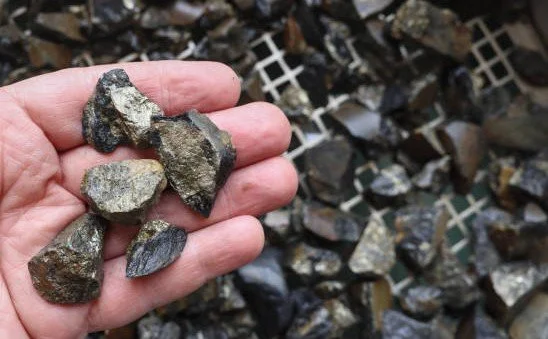 Hand holding several dark, shiny stones or minerals with a larger pile of similar stones in the background.