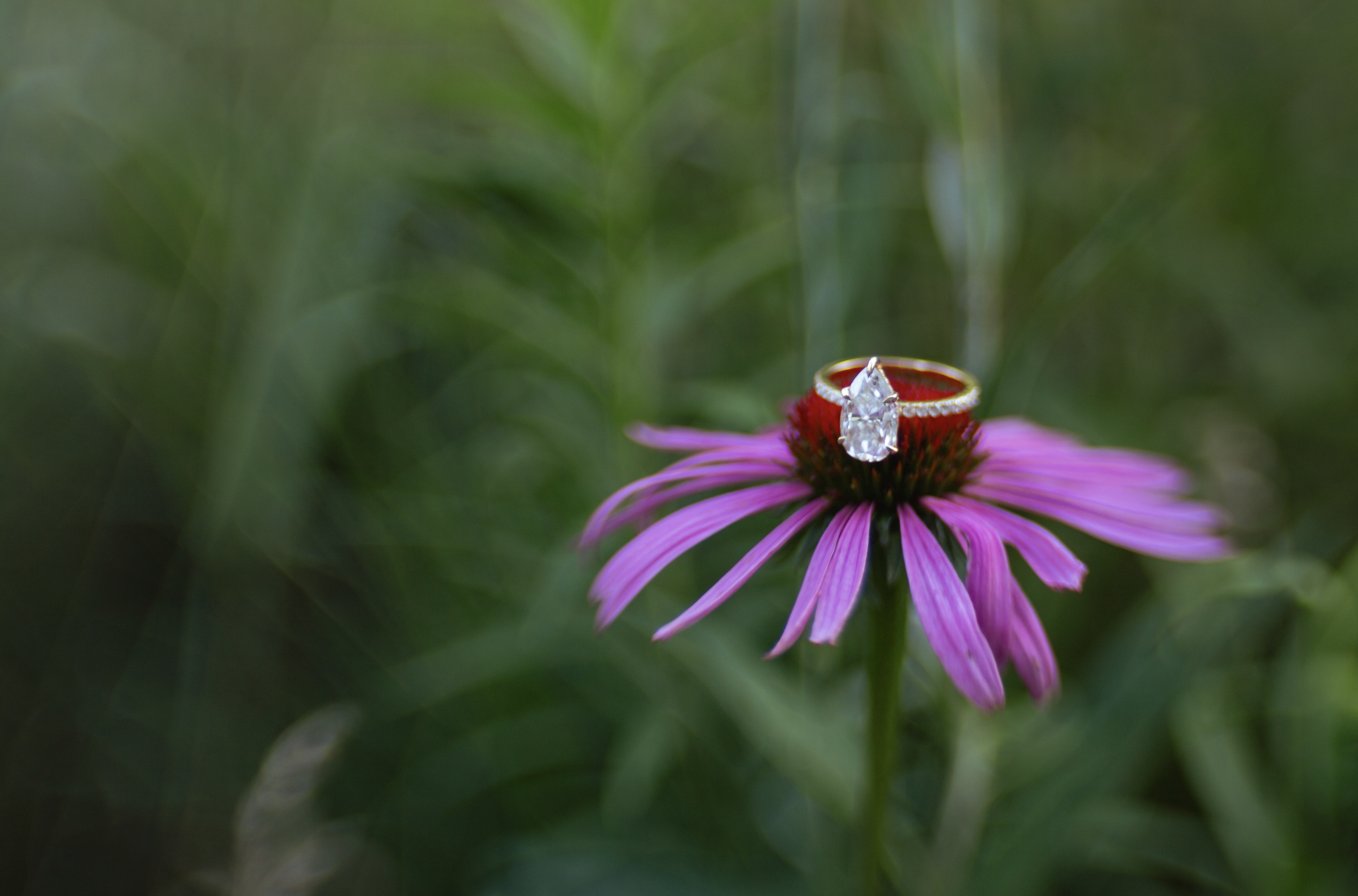 Screen Shot 2025-12-28 at 11.17.59 PM.png