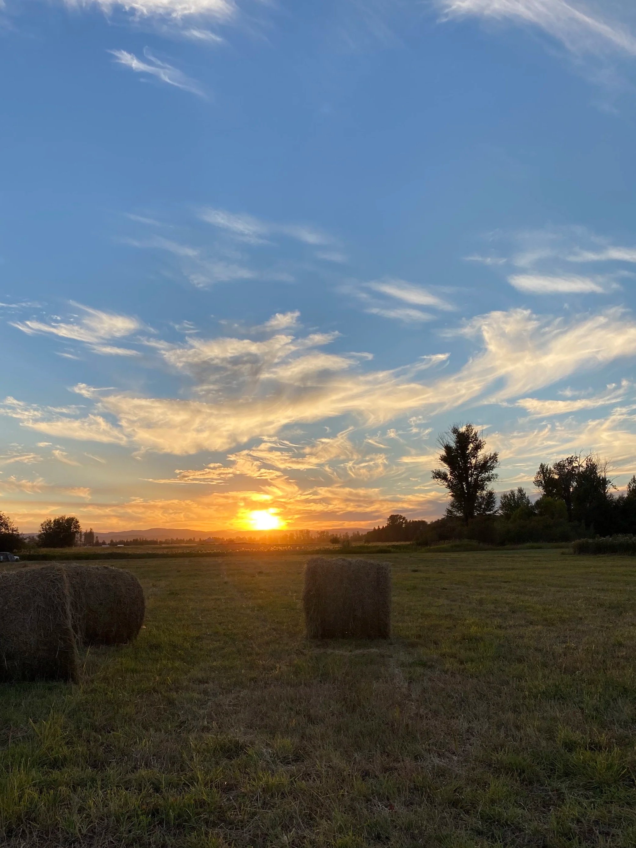 A sunset over a rural field with hay bales and trees in the background, and a partly cloudy sky.