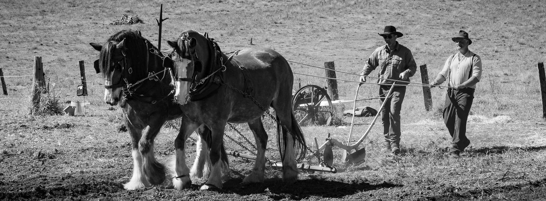 Plough  B+W.jpg