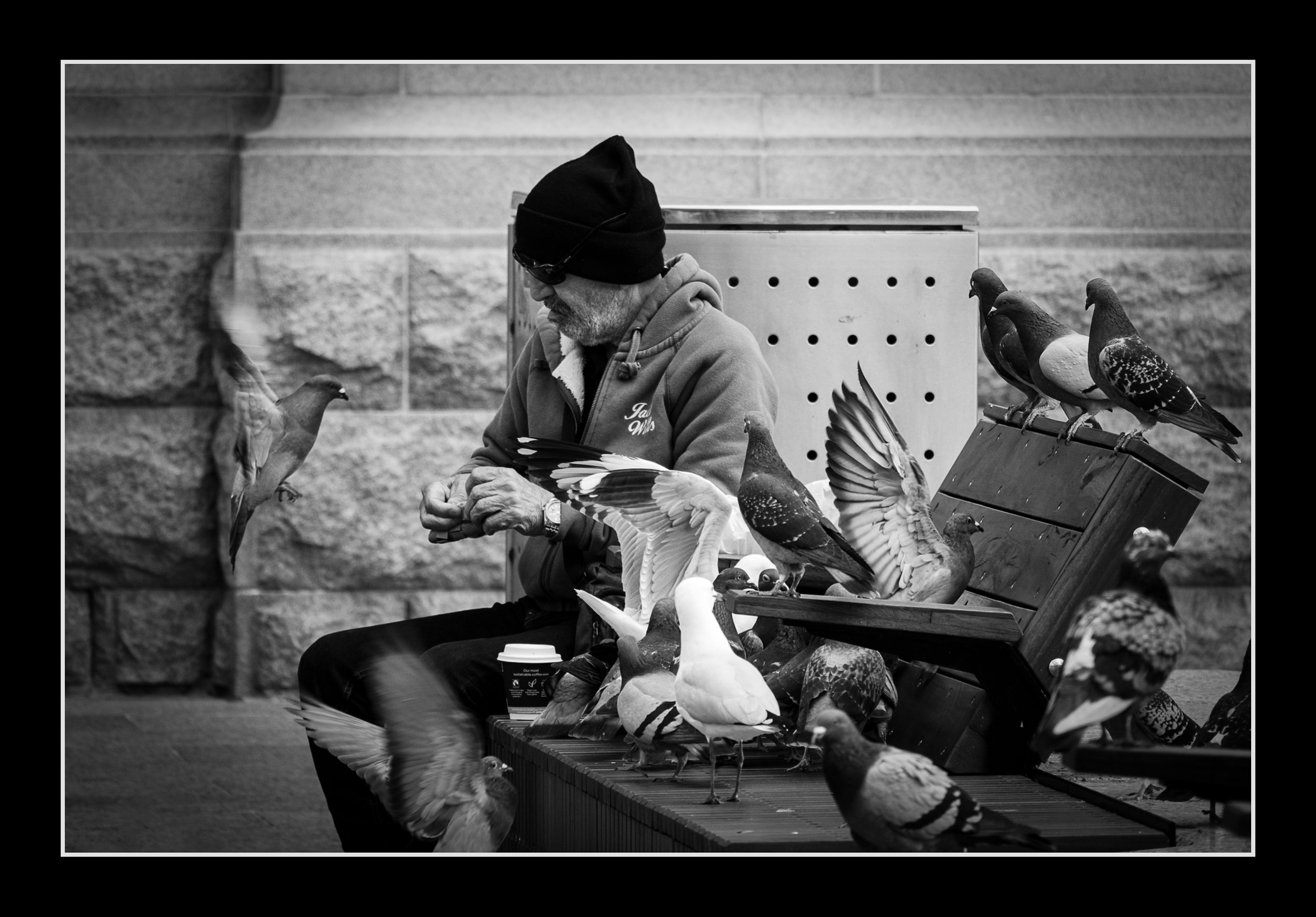 FEEDING TIME 412MM.jpg