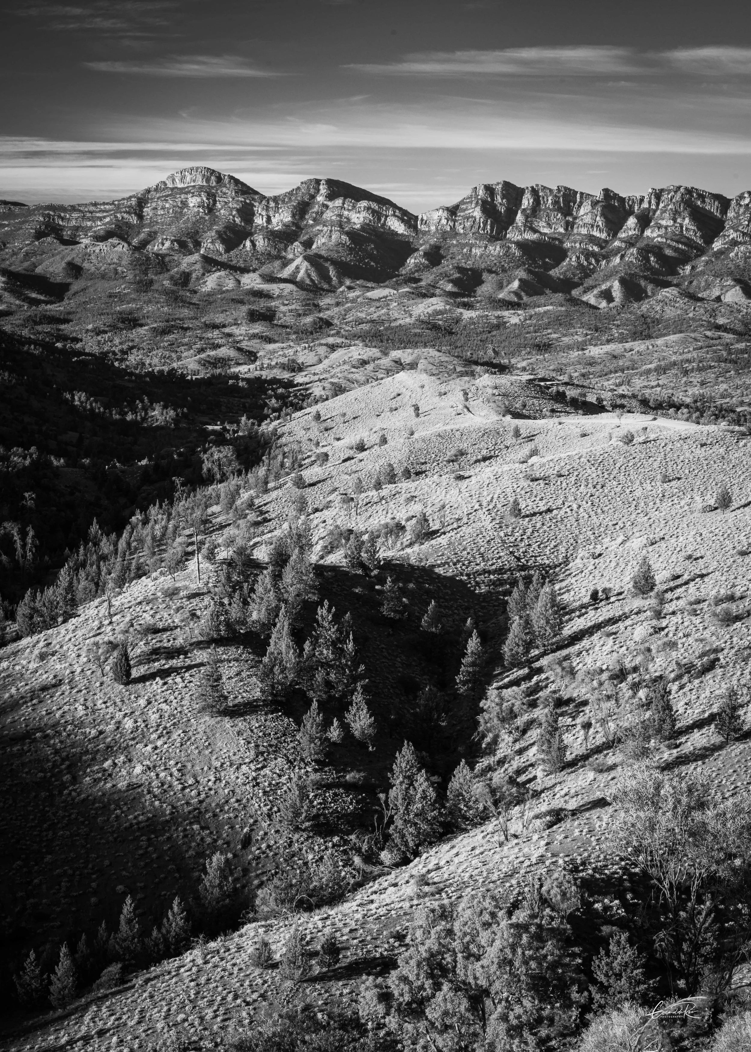 Flinders Ranges.jpg