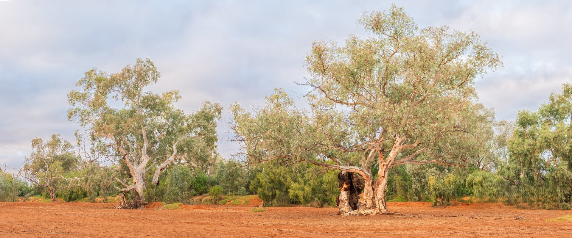 Dry creek bed (1 of 1).jpg