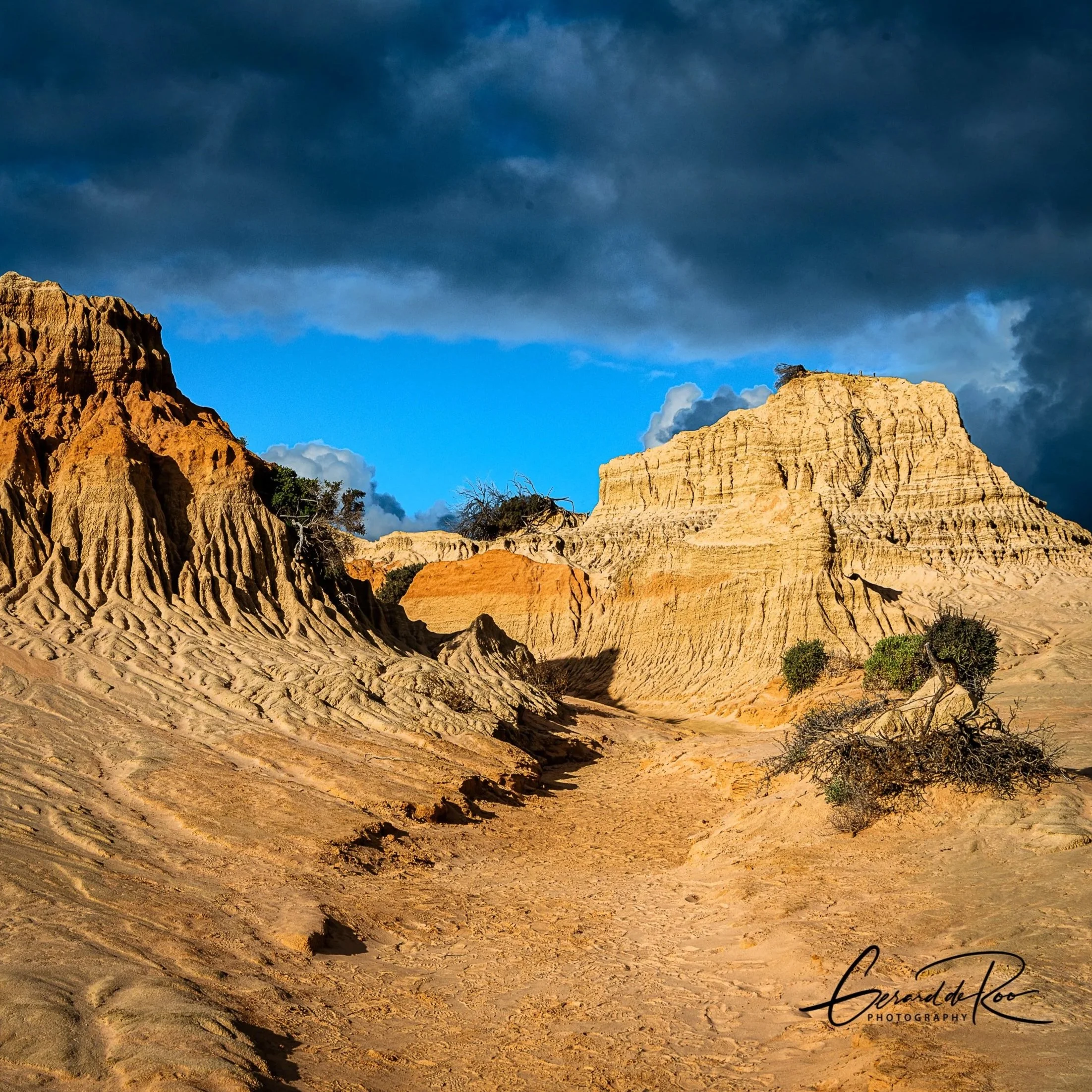 Landscape / Seascape