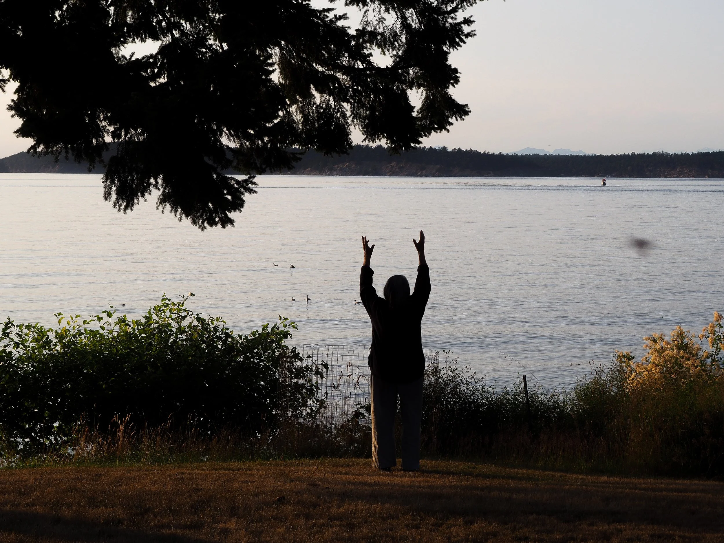 ORcas island for website.jpg