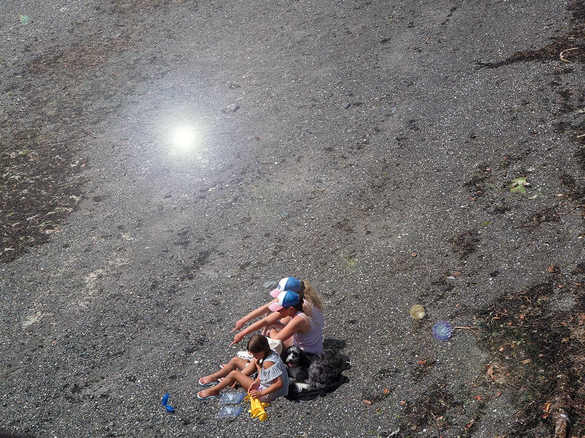 Reflections of Summer