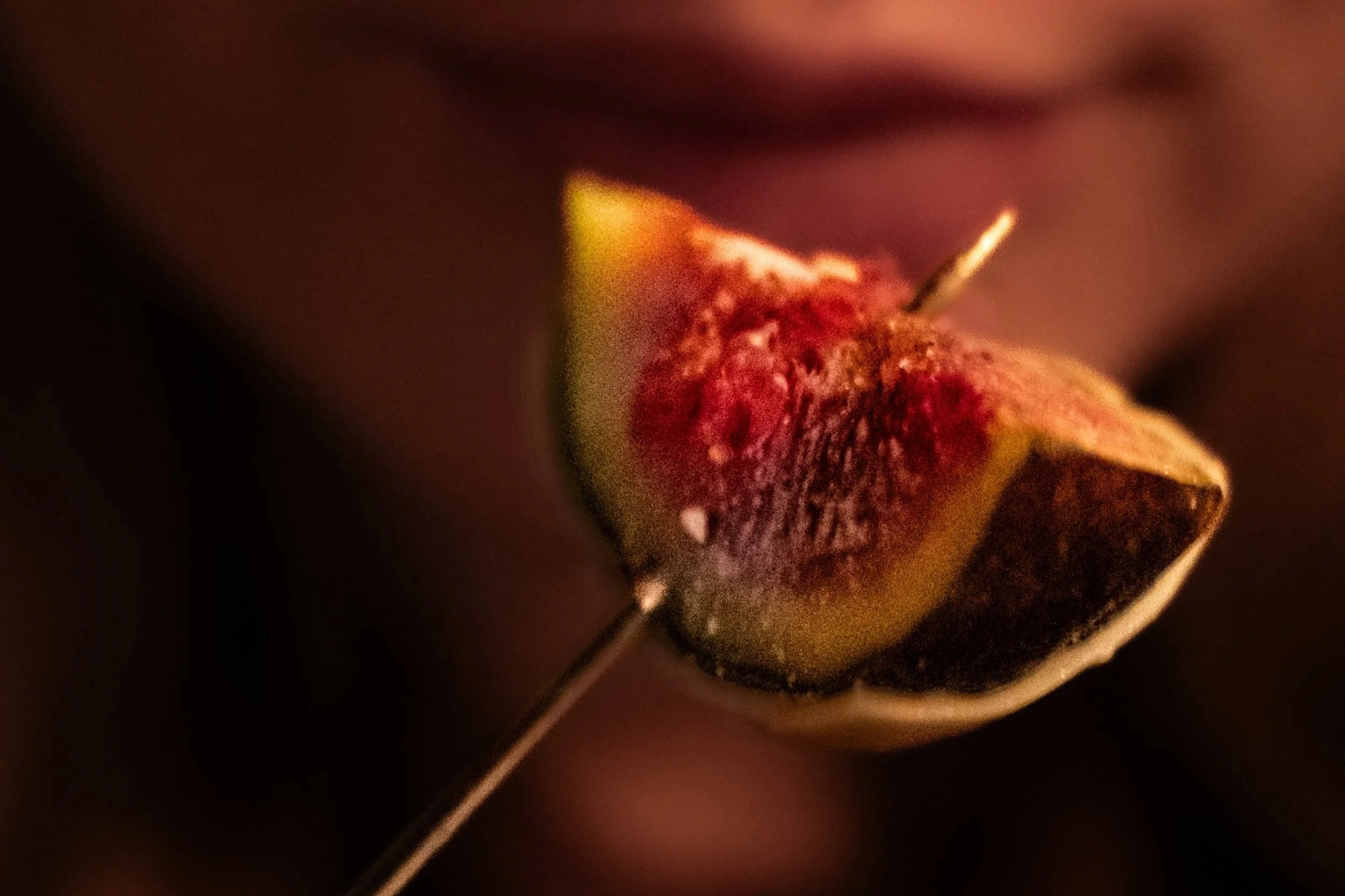 fruits of the fig tree