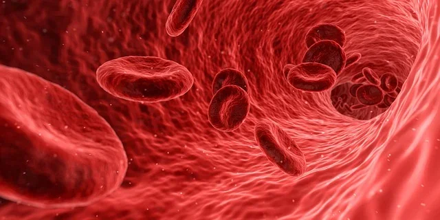 Illustration of red blood cells flowing through a blood vessel.