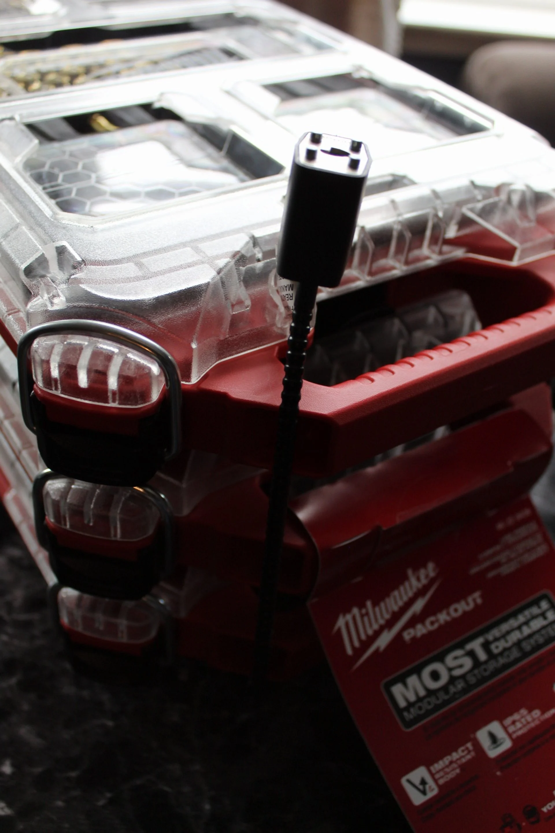 IMG_2320 (1).JPG (Copy) (Copy)