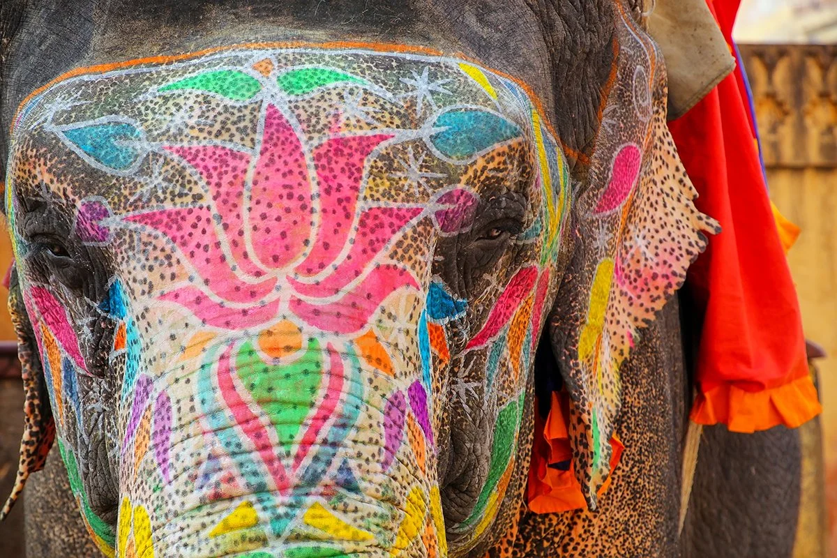 When Elephants Became Icons of Ceremony, Spectacle, and Power