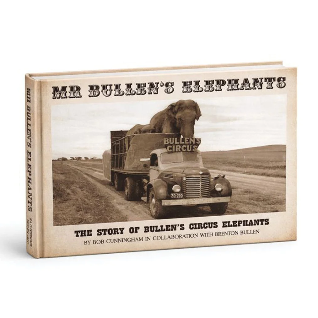 Mr_Bullens_Elephants_3D_Book_Cover.jpg