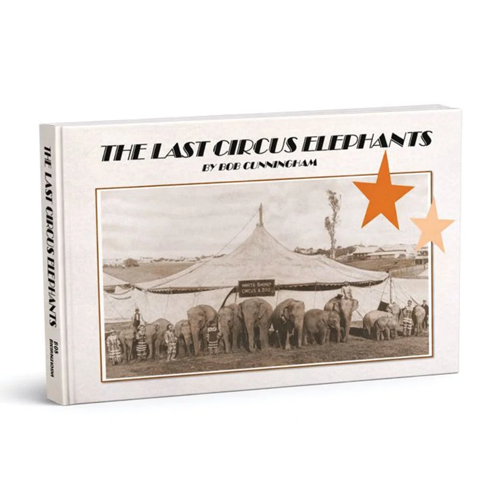 The Last Circus Elephants eBook