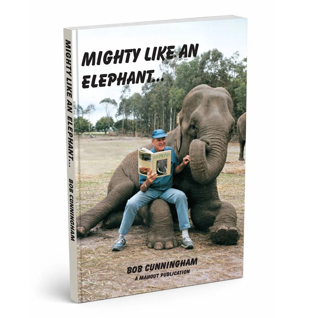 Mighty Like An Elephant eBook