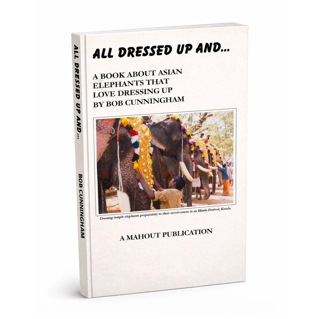 All Dressed Up eBook