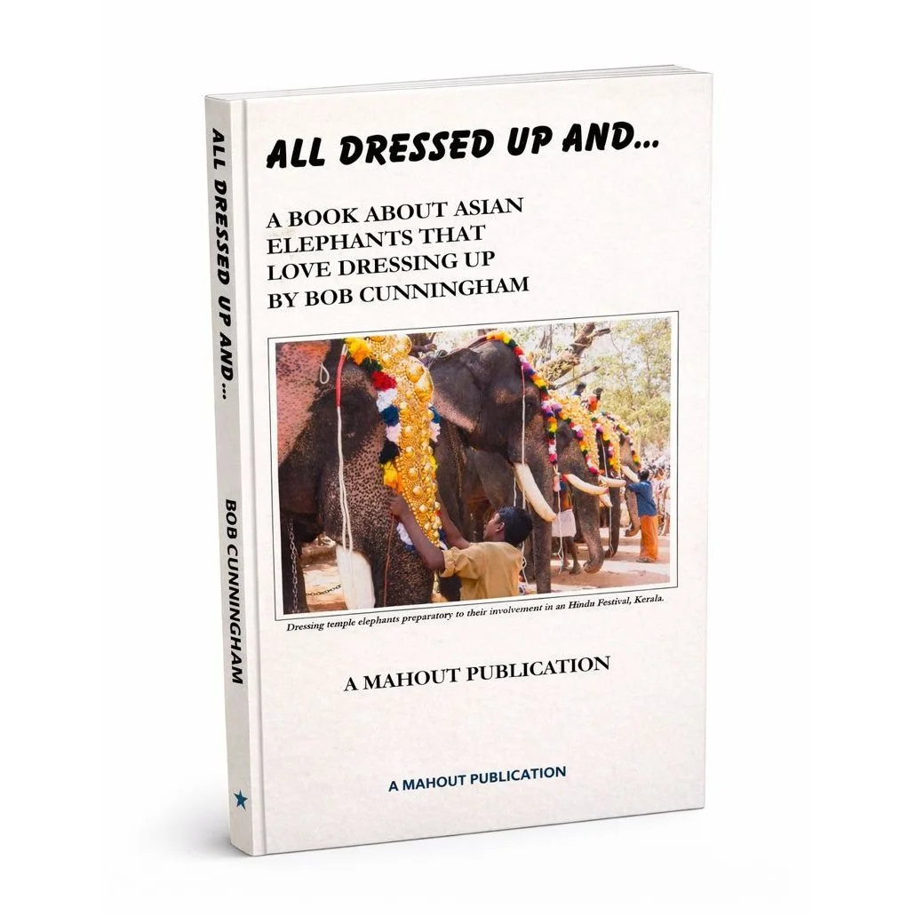 All Dressed Up eBook
