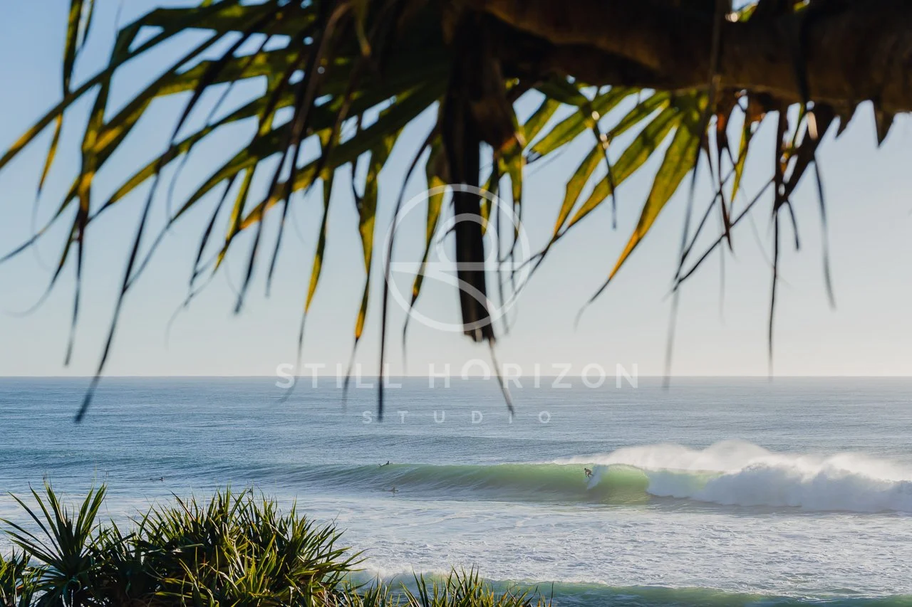 Burleigh Head Stock Photo 55