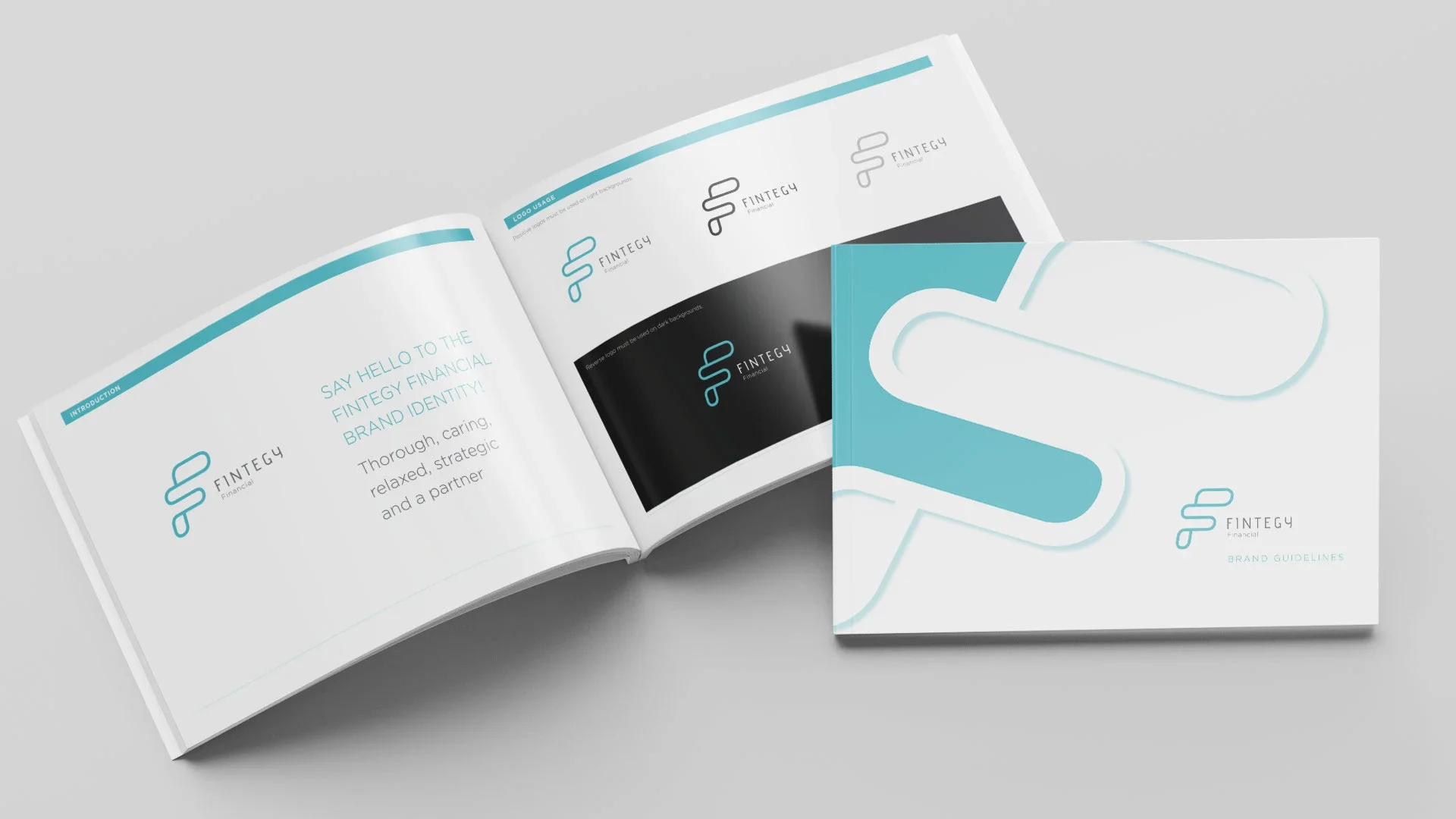 Fintegy Financial brand style guide
