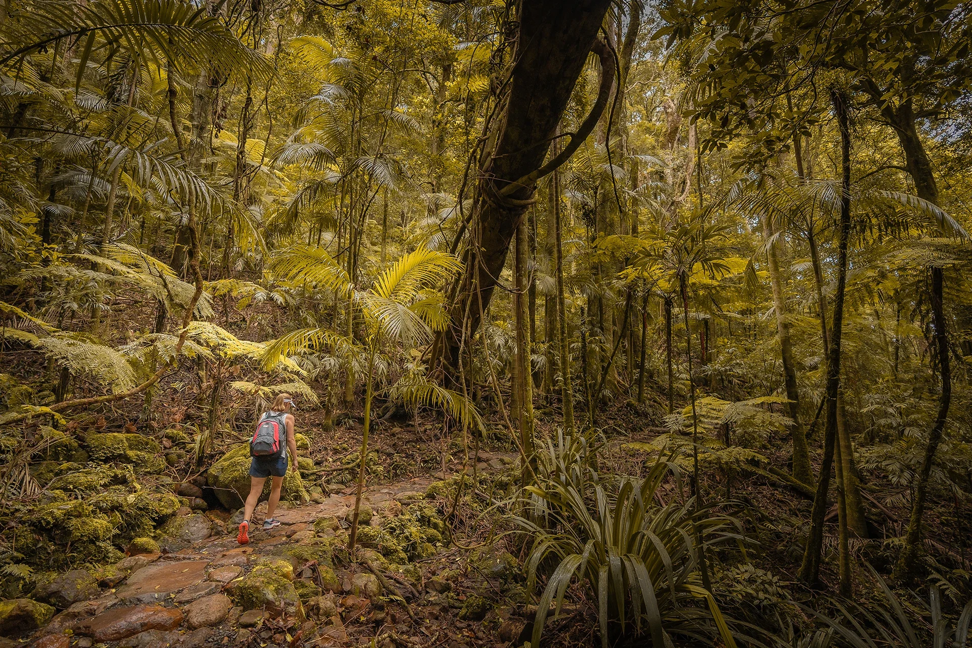 shs-outdoor-lifestyle-photo-19.webp