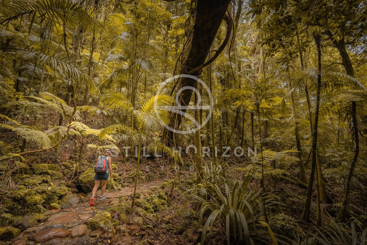 Twin Falls Stock Photo 26