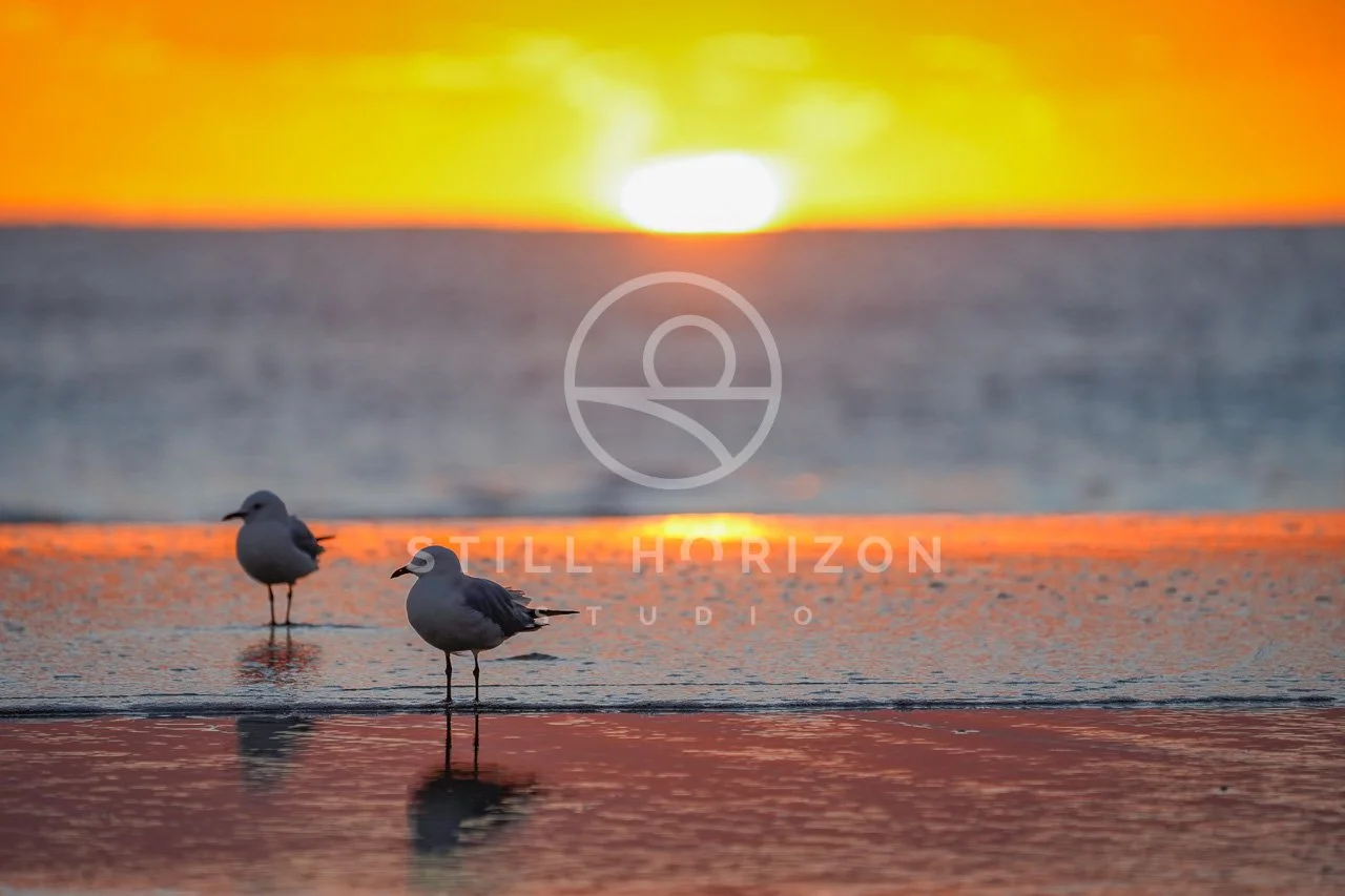 Sunrise Stock Photo 19