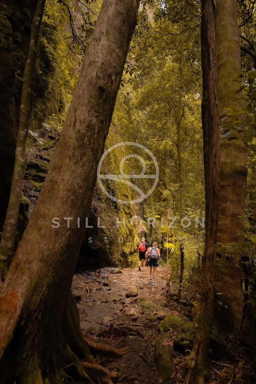 Twin Falls Stock Photo 15