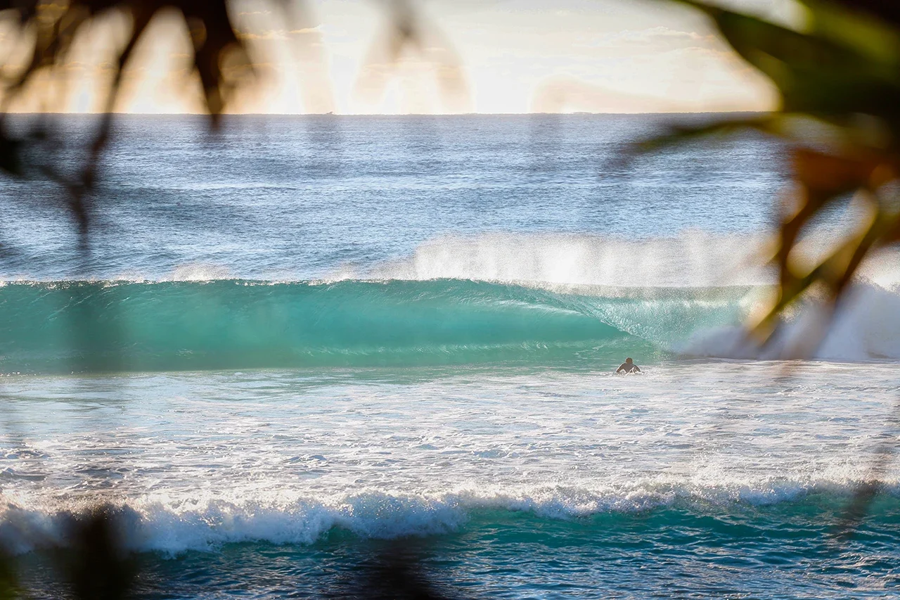 shs-burleigh-head-11-photo.webp