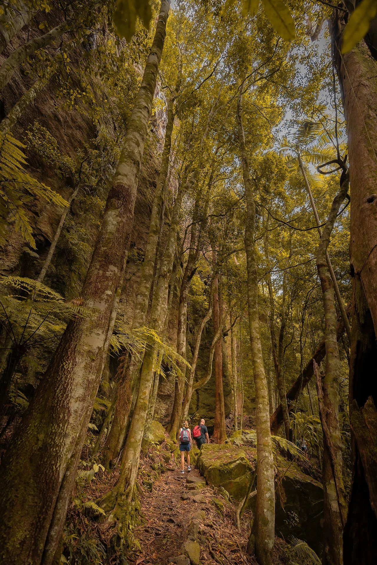 shs-outdoor-lifestyle-photo-17.webp