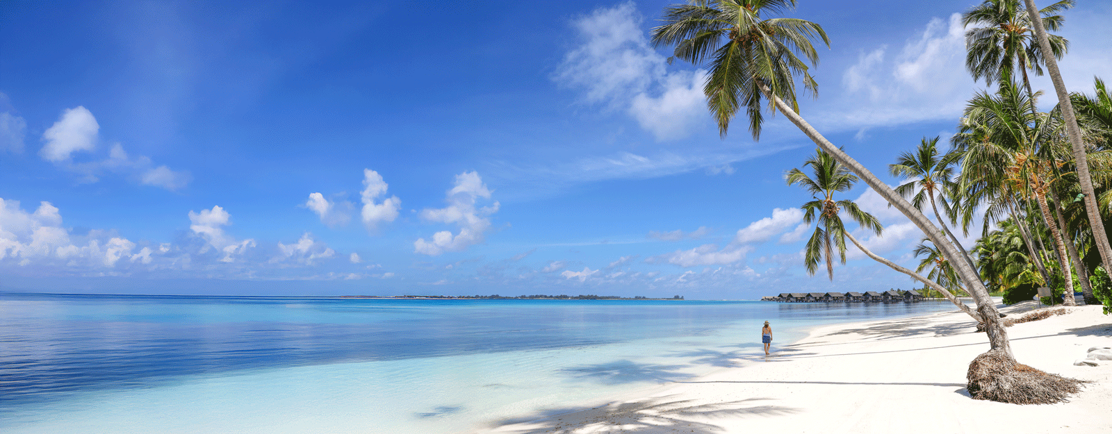 A woman walking along the beach of a tropical island with palm trees and clear blue water.