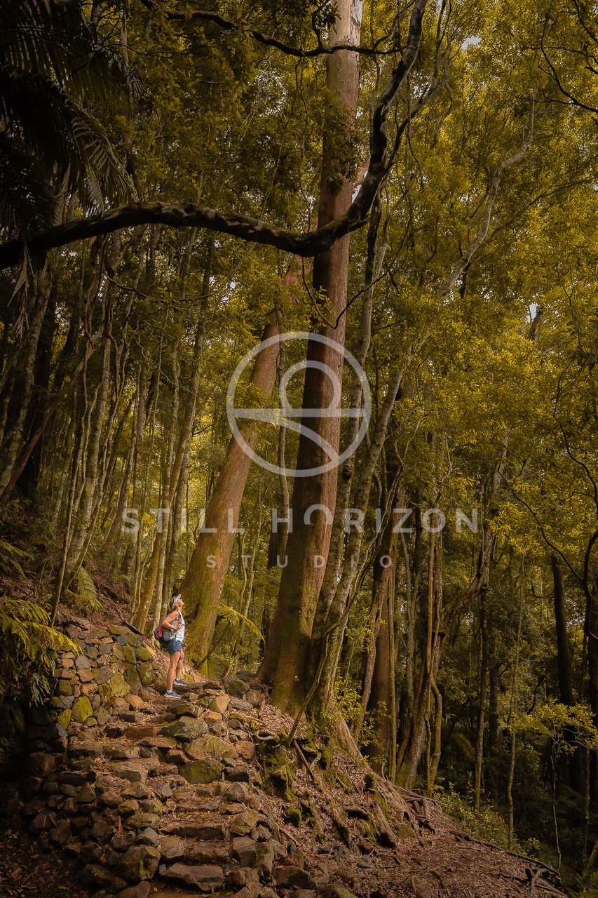 Twin Falls Stock Photo 11