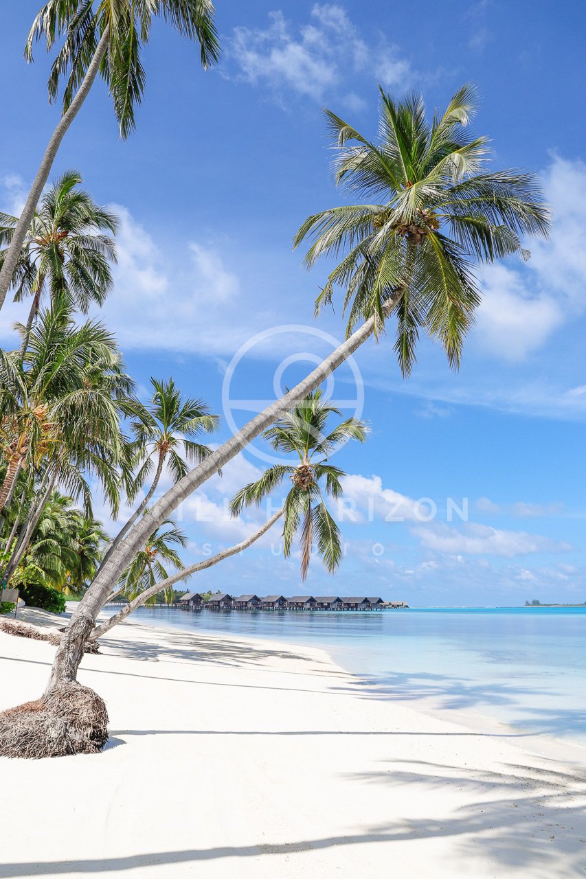 Maldives Stock Photo 8