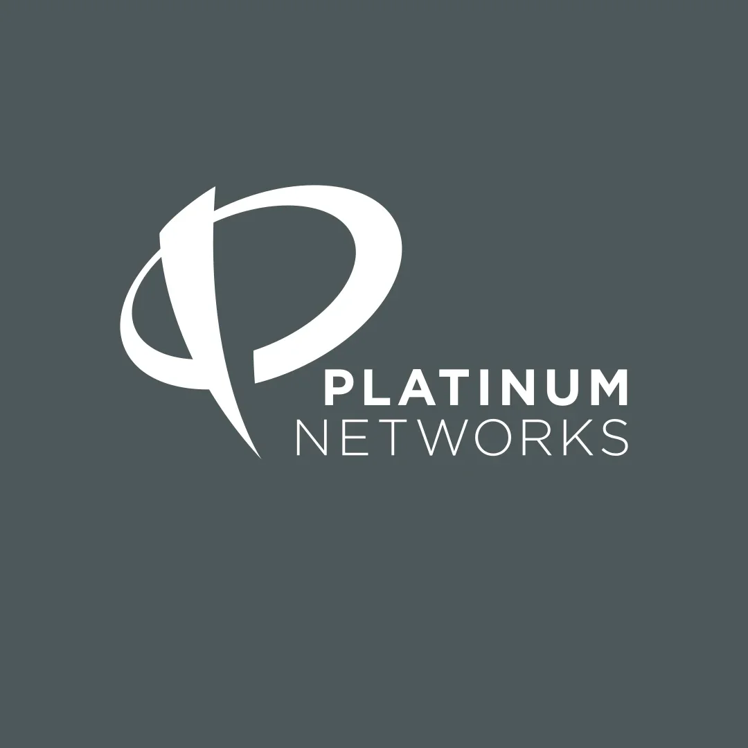 Platinum Networks logo design