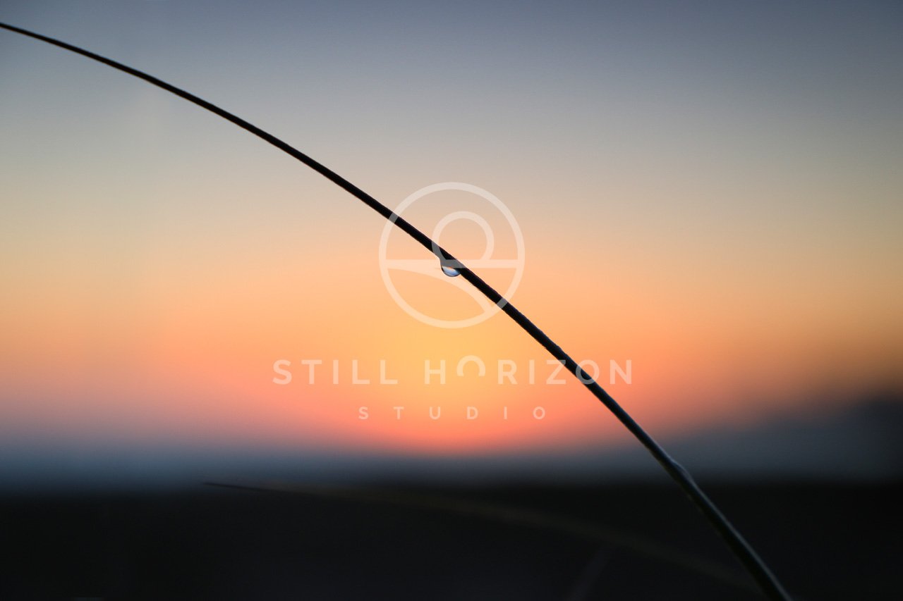 Nature Stock Photo 7