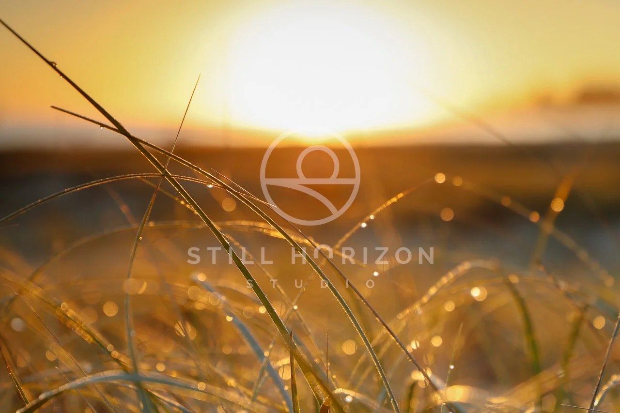 Sunrise Stock Photo 15