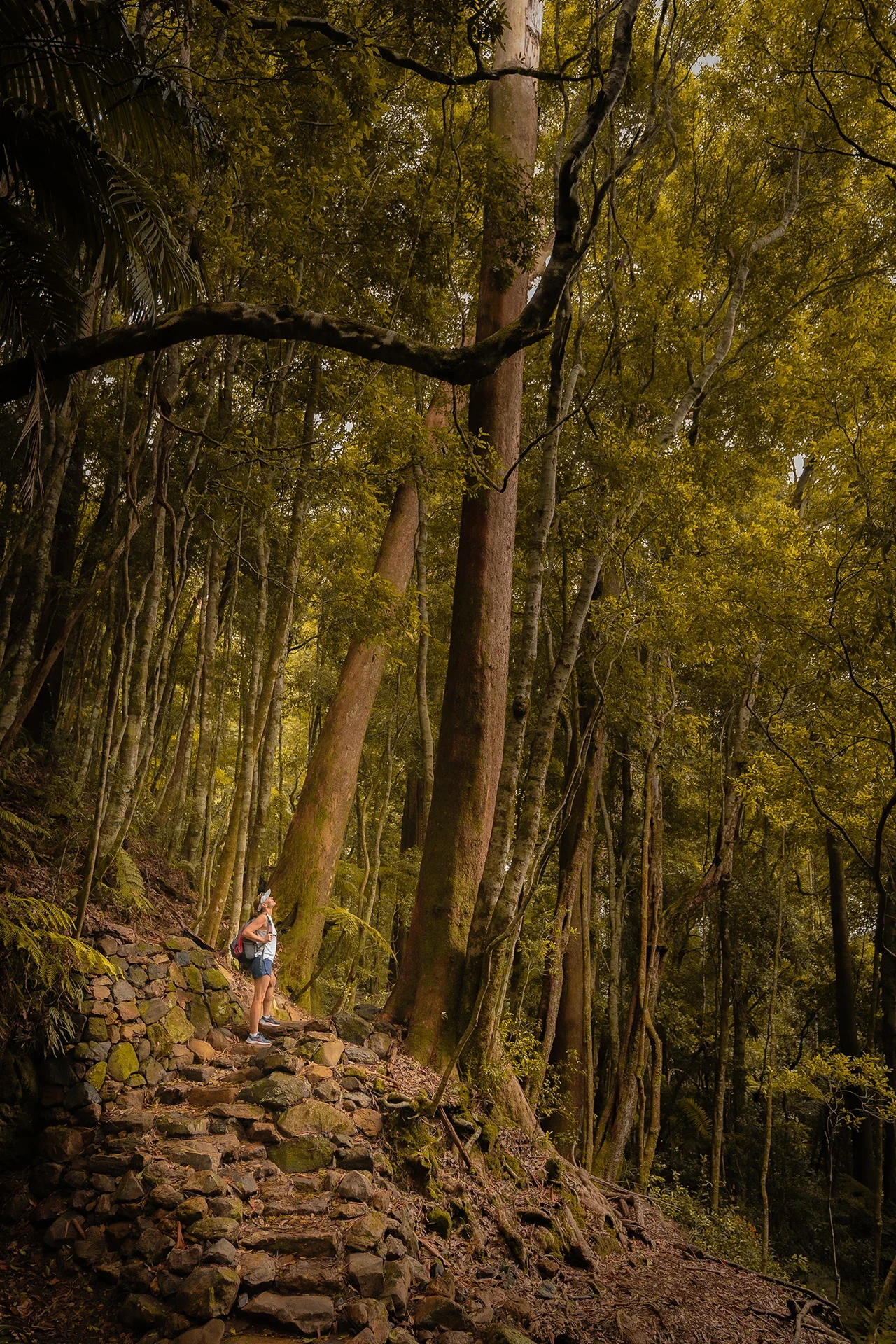 shs-outdoor-lifestyle-photo-16.webp
