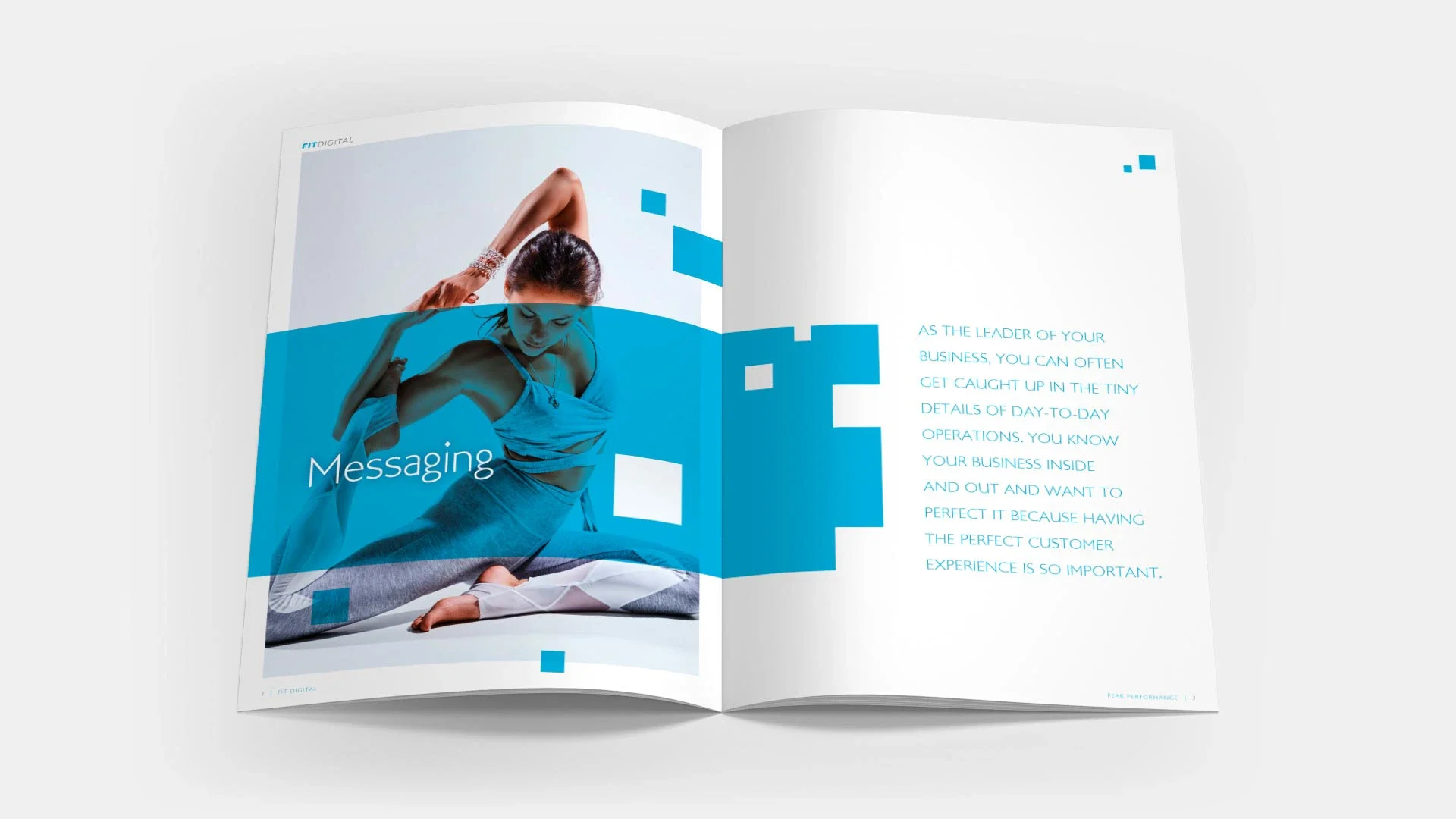 Fit Digital - Sales Brochure