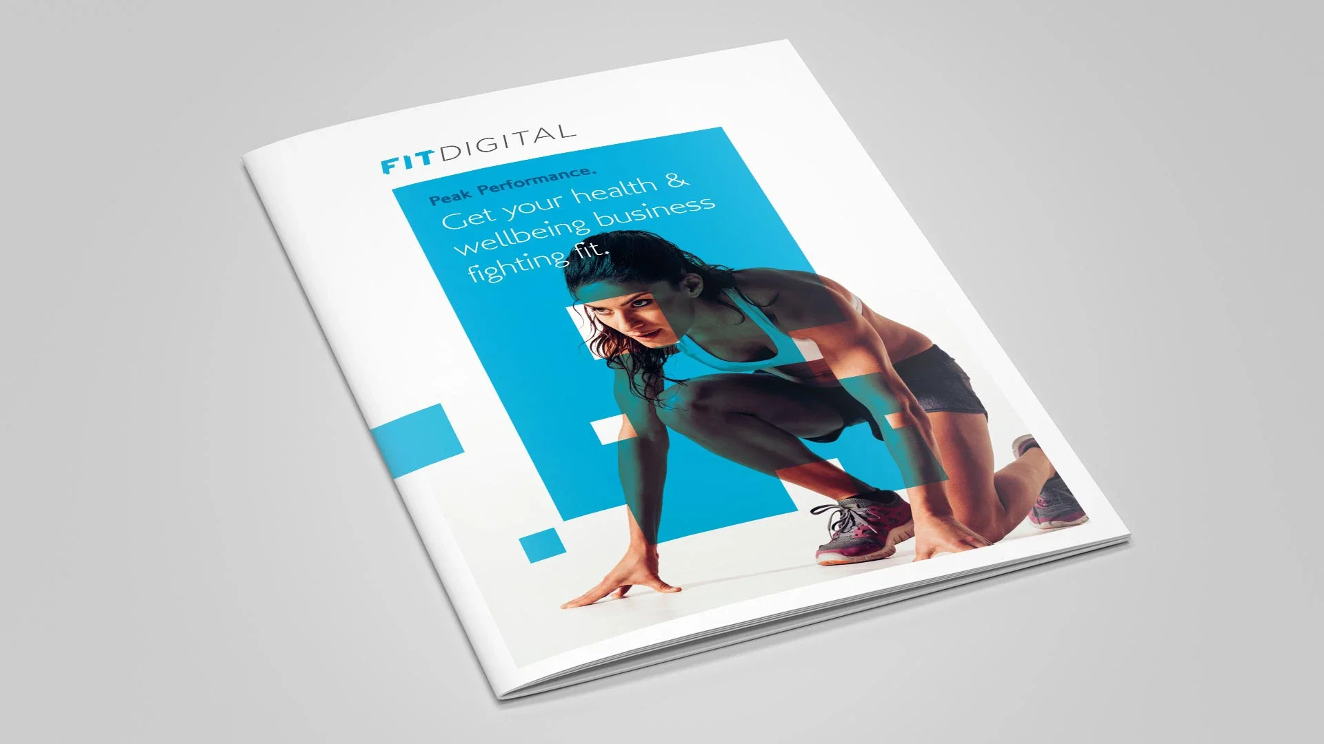 Fit Digital - Sales Brochure